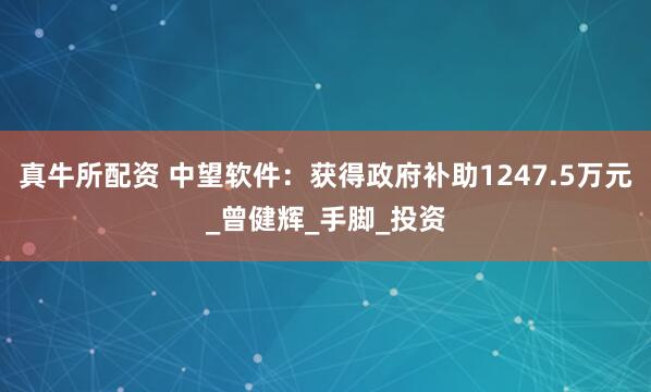 真牛所配资 中望软件：获得政府补助1247.5万元_曾健辉_手脚_投资