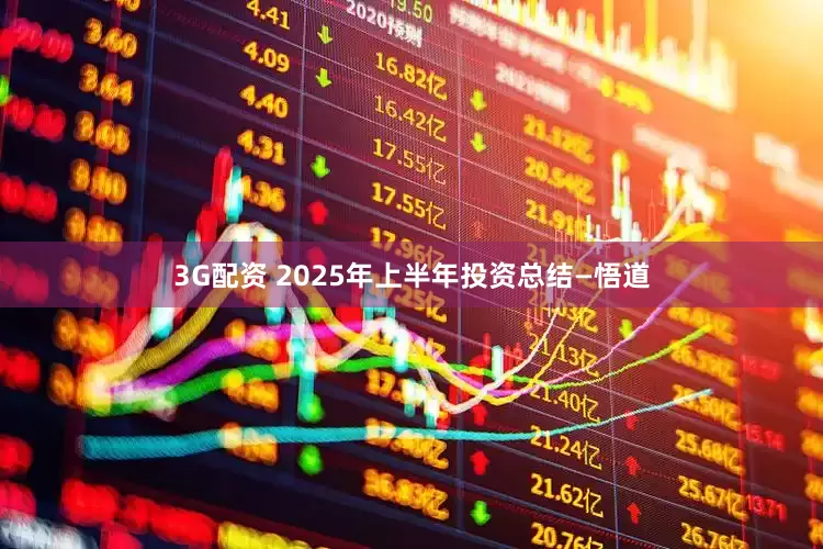 3G配资 2025年上半年投资总结—悟道