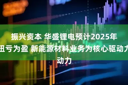 振兴资本 华盛锂电预计2025年扭亏为盈 新能源材料业务为核心驱动力